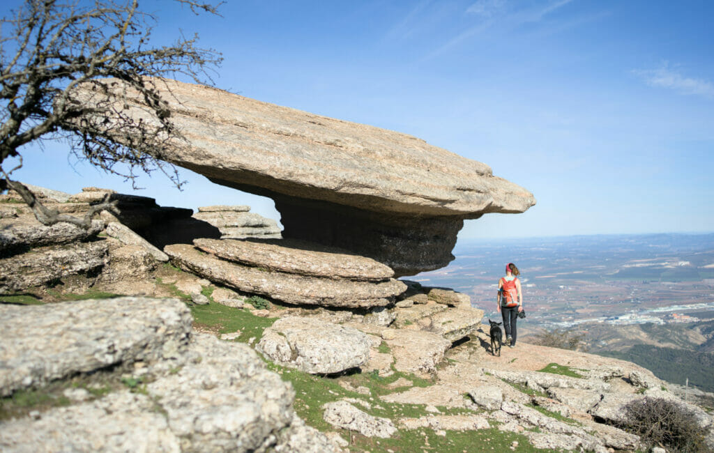 le champignon, torcal