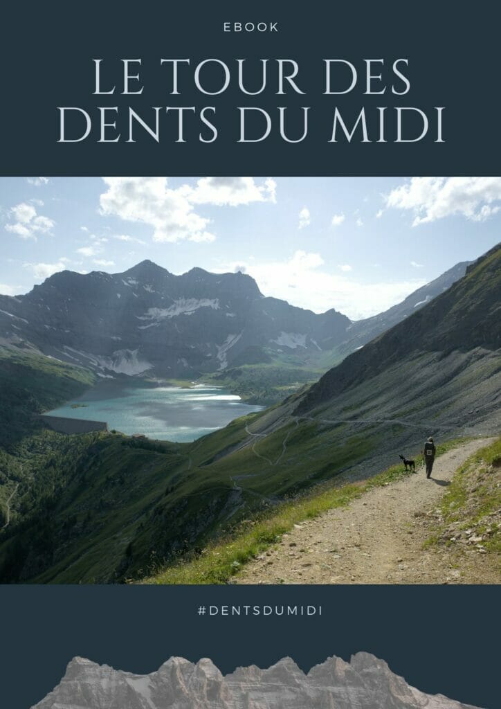 couverture ebook tddm