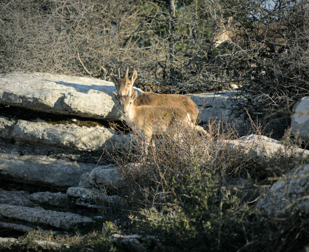 etagnes parc du torcal