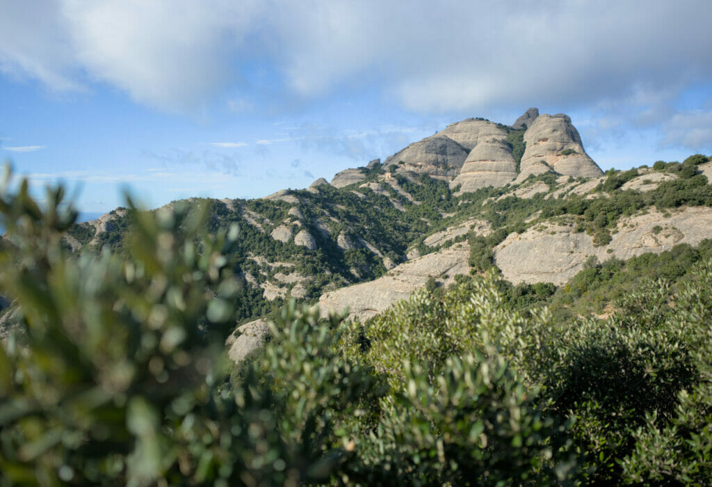 vue sur les montagnes de Montserrat
