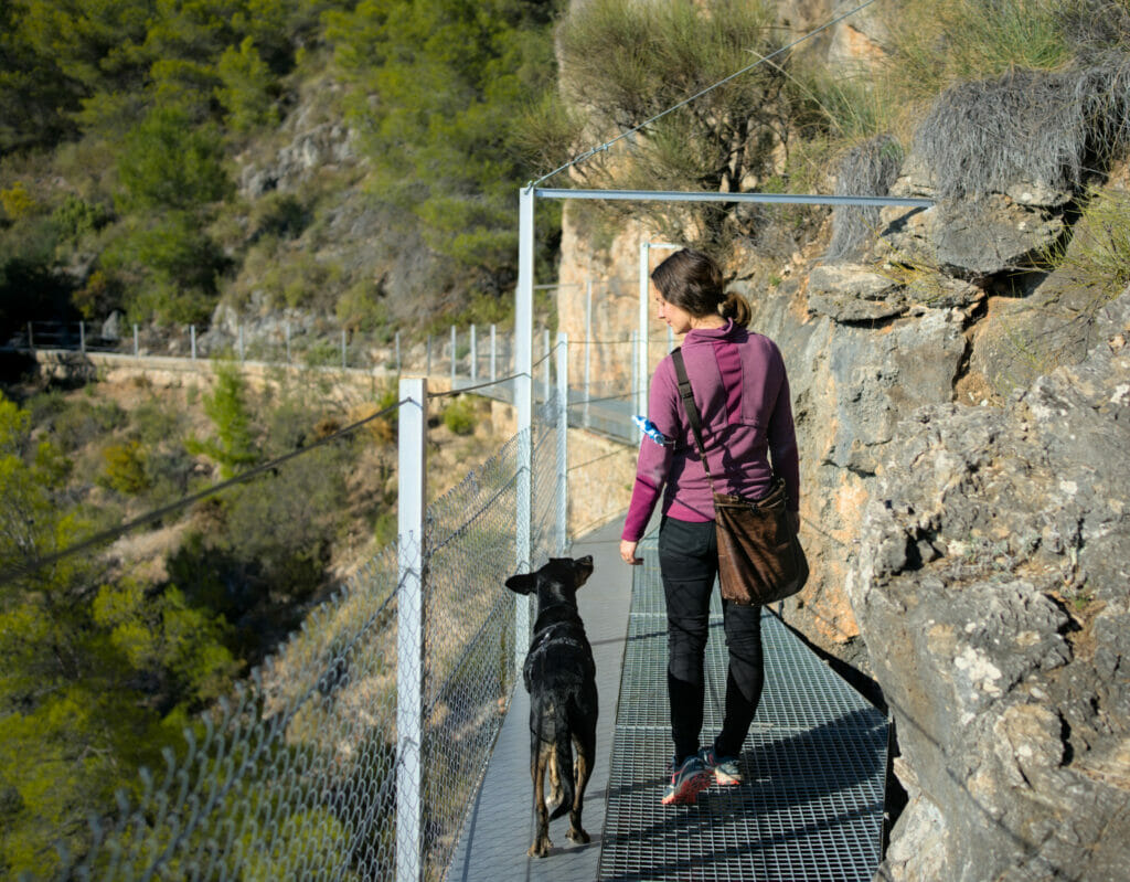 passerelle frigiliana