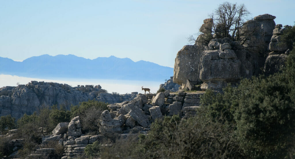 parc naturel du torcal