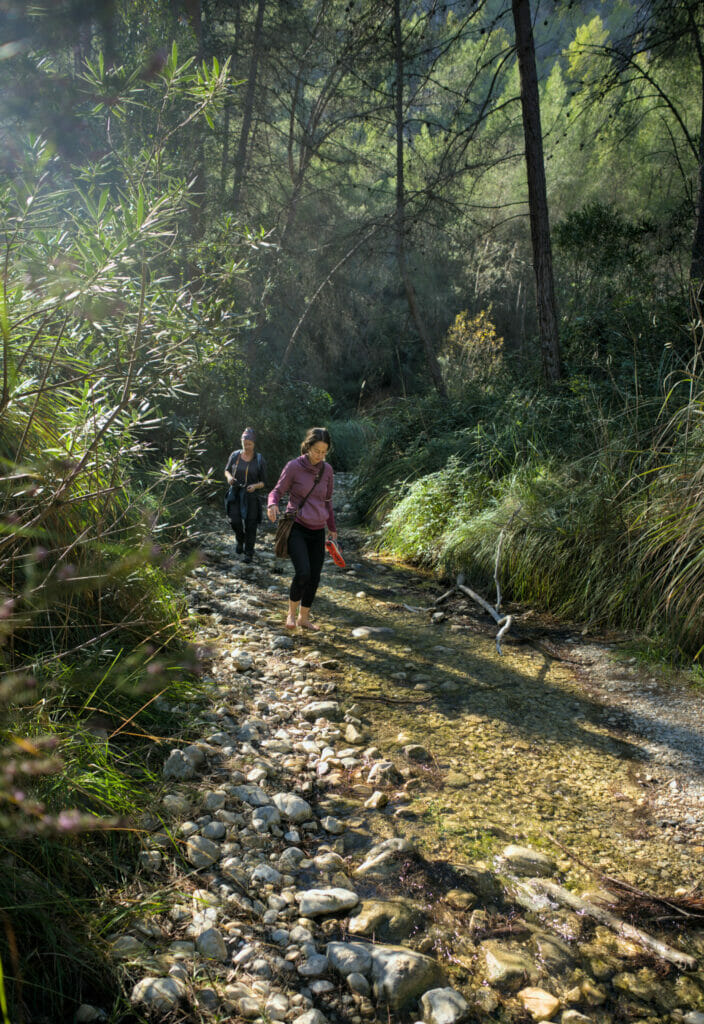 rio higueron, frigiliana