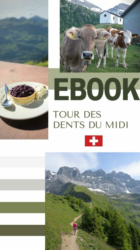 ebook dents du midi