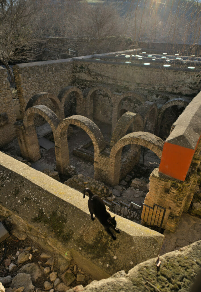 les bains arabes de Ronda