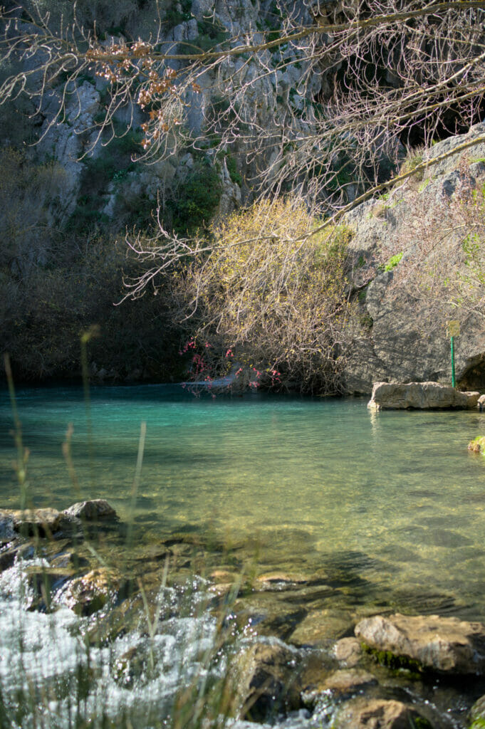 cueva del gato