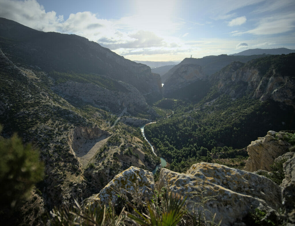 mirador buitares