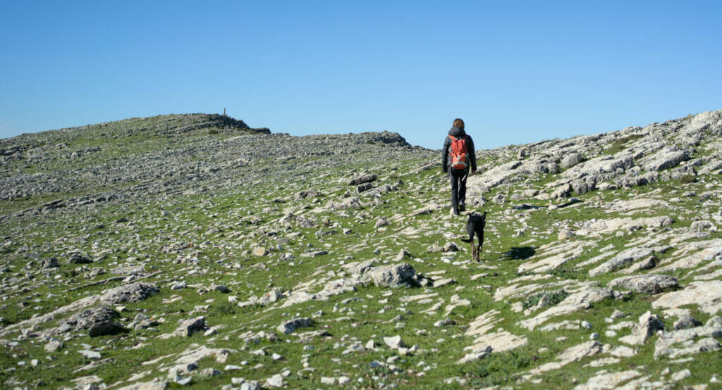 montée au pico huma