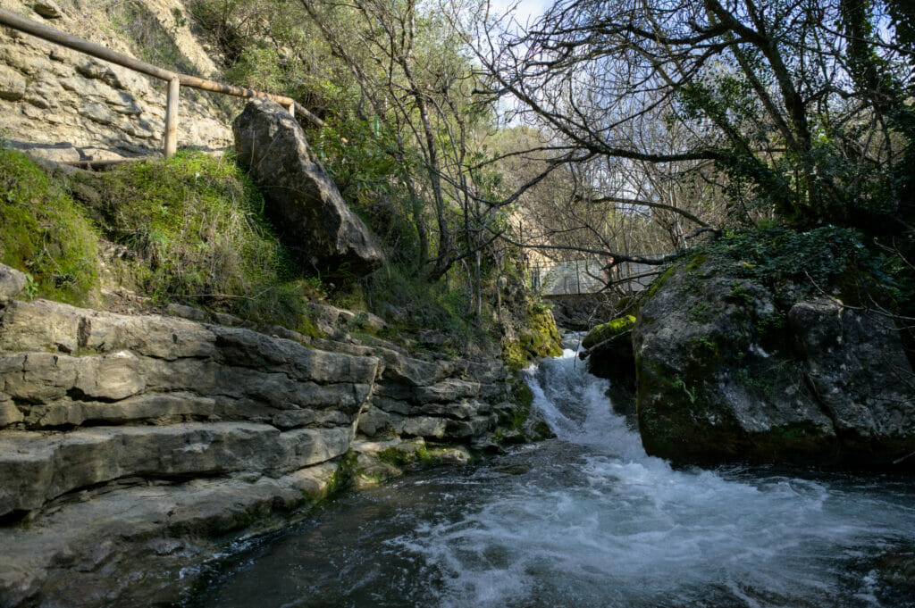 pont rio majaceite