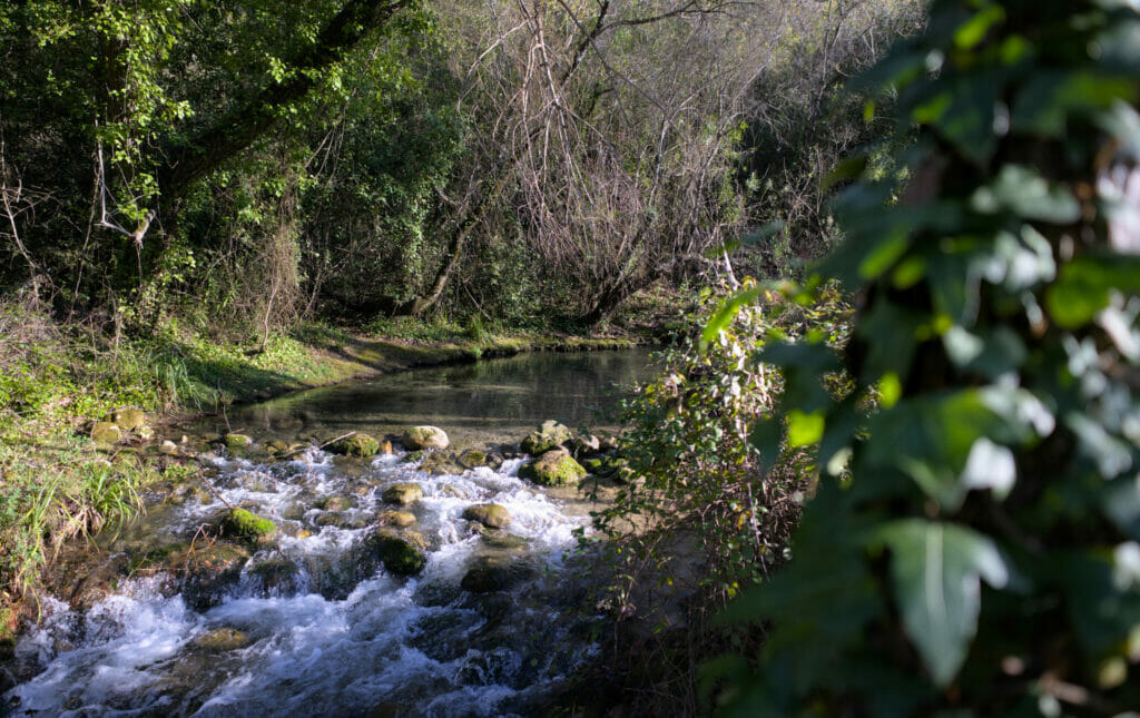 balade el bosque