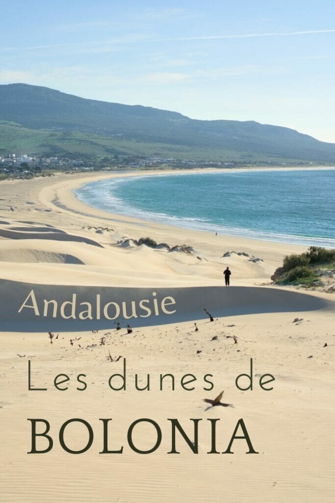 dunes de bolonia