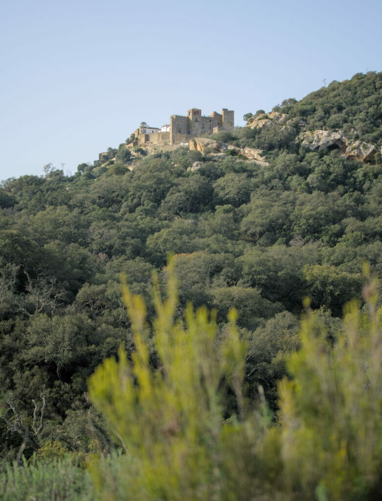 castillo de castellar de la frontera