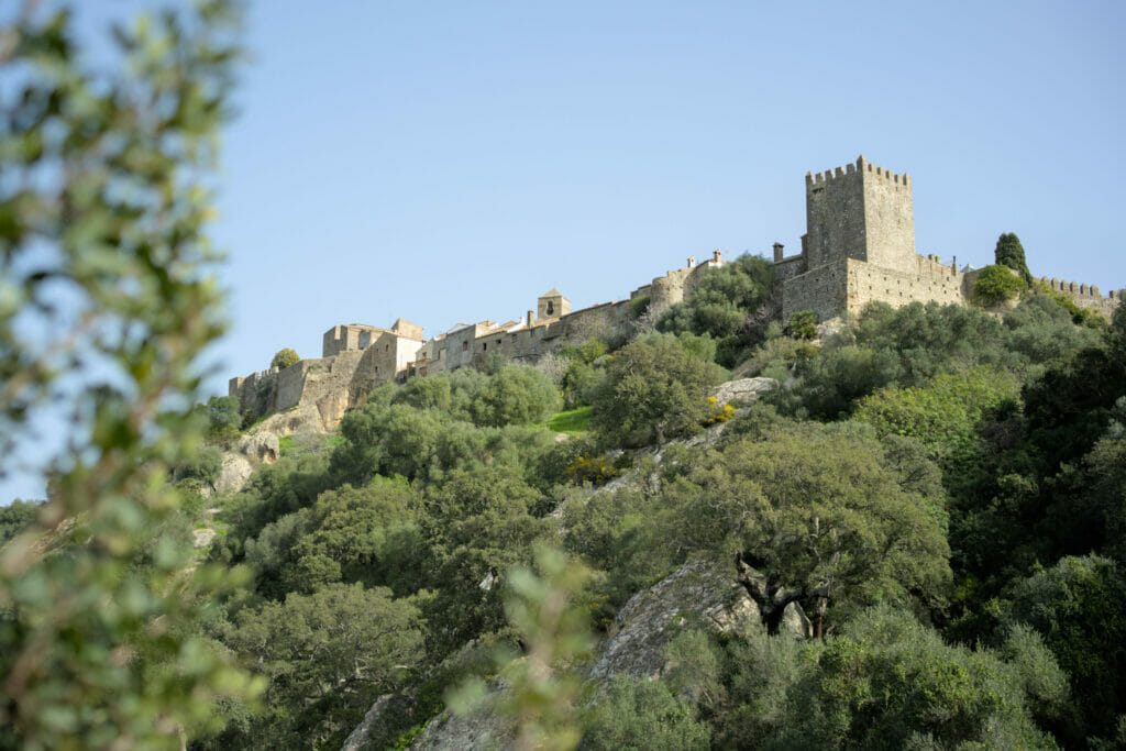 castillo de castellar de la frontera