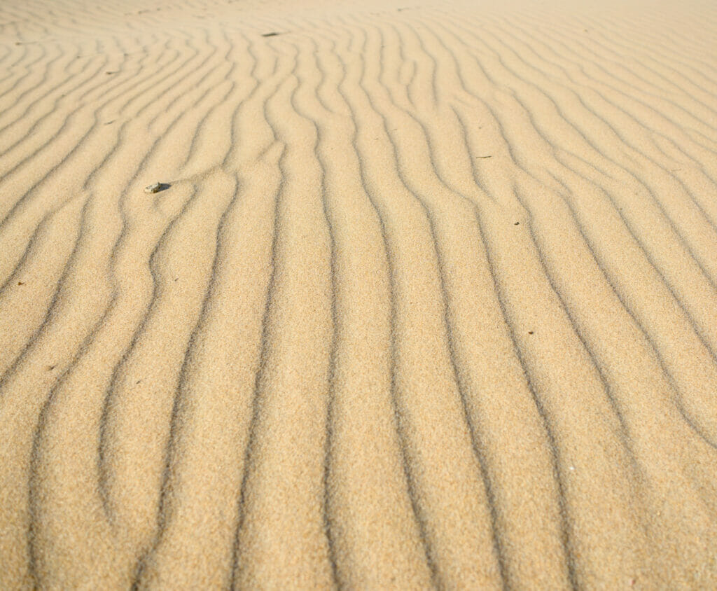 sable dune de bolonia