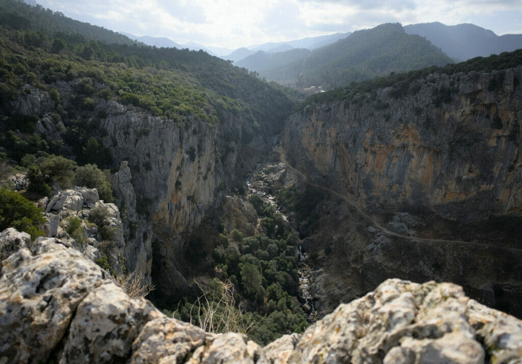 mirador linarejos