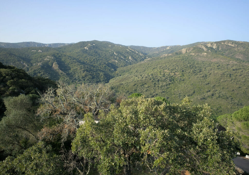 parc naturel andalousie
