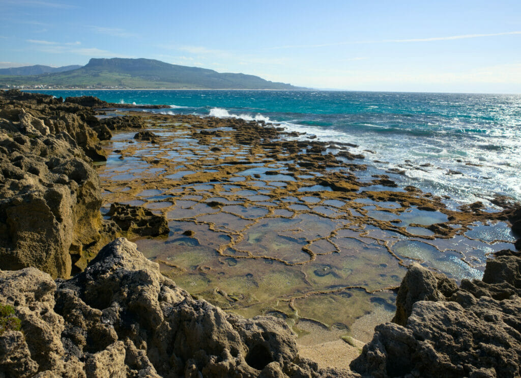 piscine naturelle