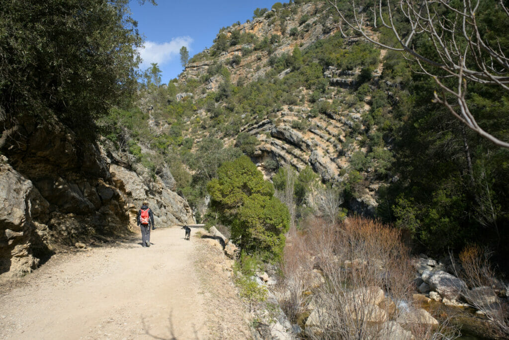 piste borosa