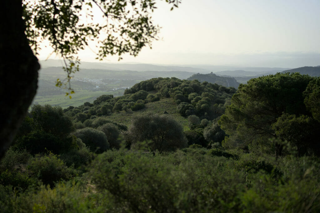 point de vue sur Jimena