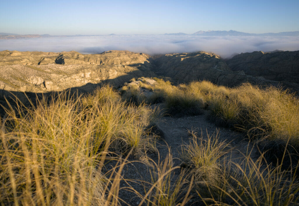 rambla del Pollo dans le désert de Gorafe