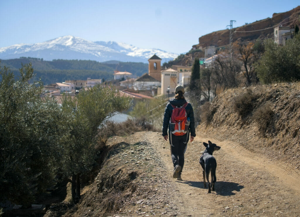 rando beas de guadix