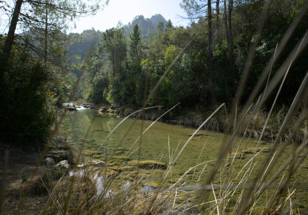 borosa river cazorla