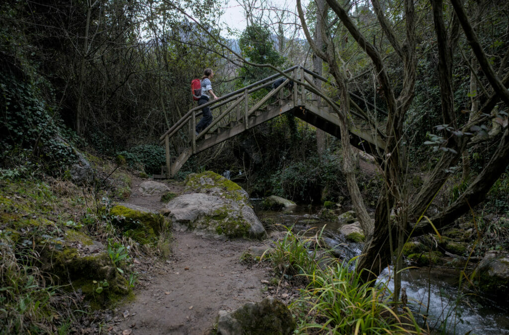 rio cerezuelo