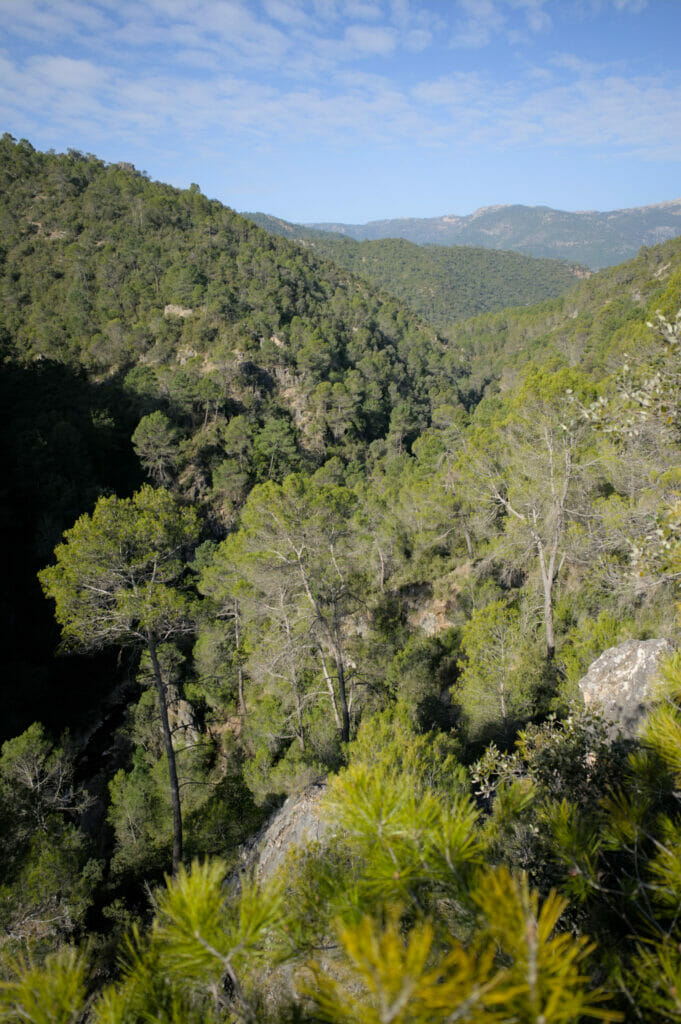 sierra de cazorla