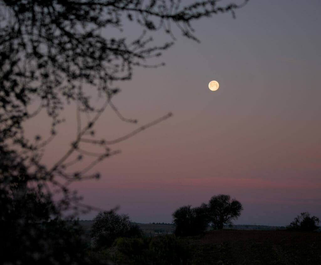 coucher de lune aux barrancas de Bujuron