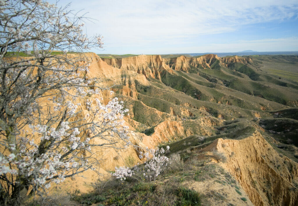 les barrancas de Burujon