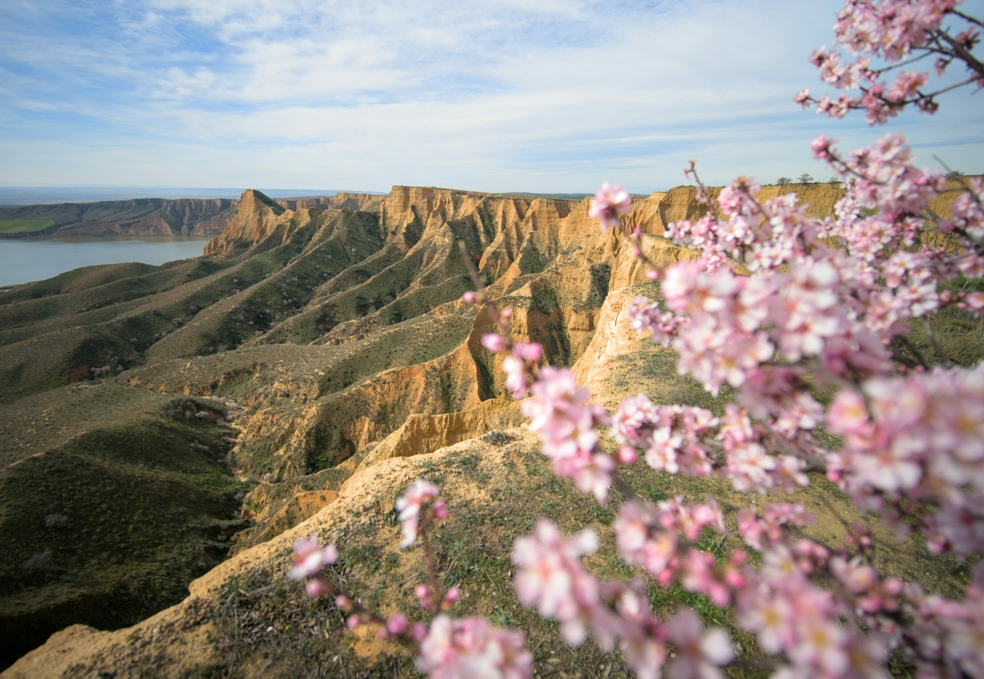 les barrancas de Burujon