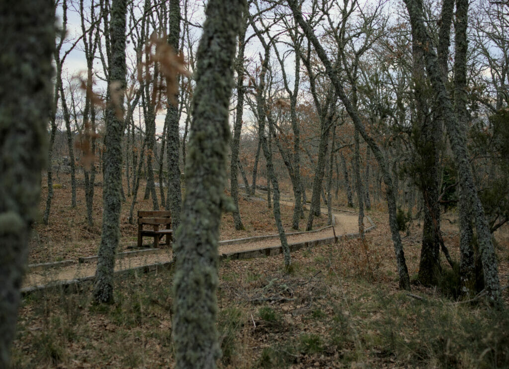 sentier aménagé chataigniers