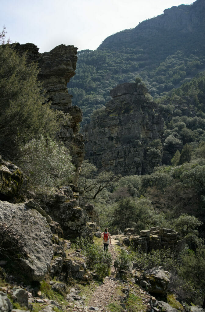 sierra de francia