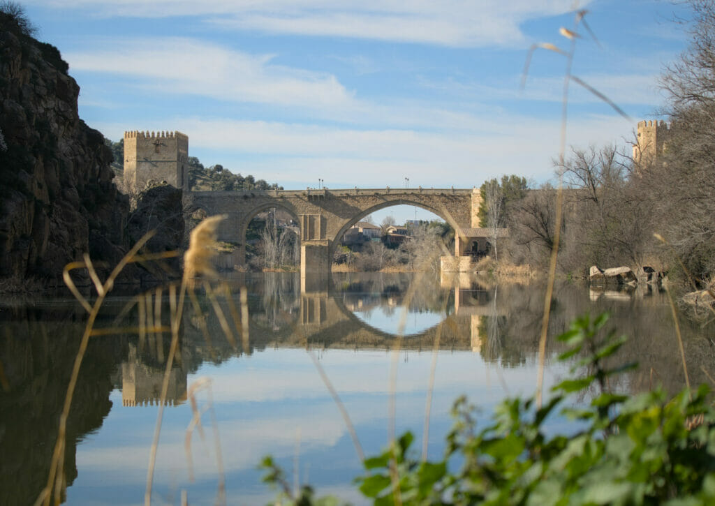 The San Martin bridge