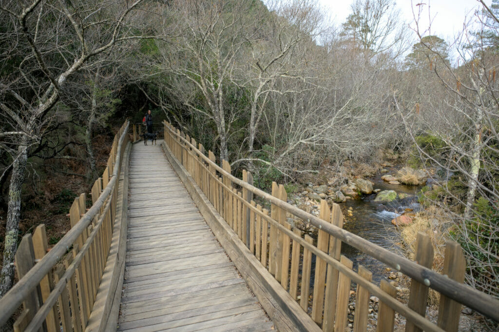 sentier aménagé