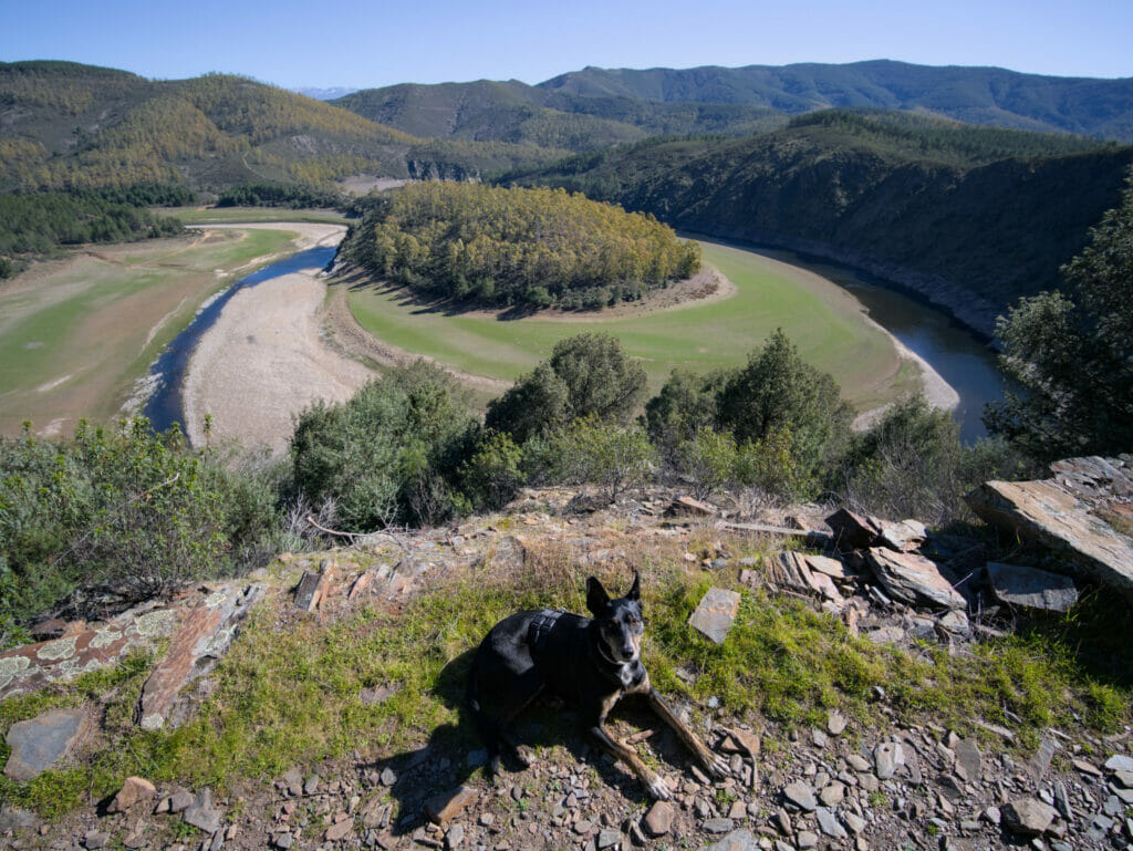 méandre melero