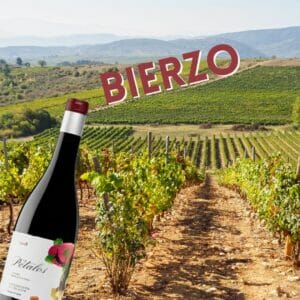 vin bierzo