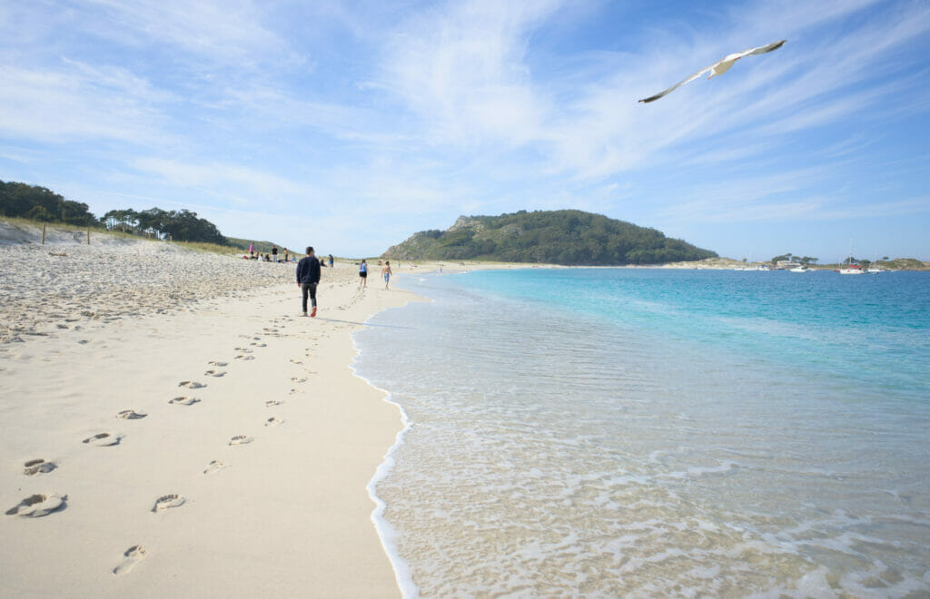 la plage de Rodas et un goéland