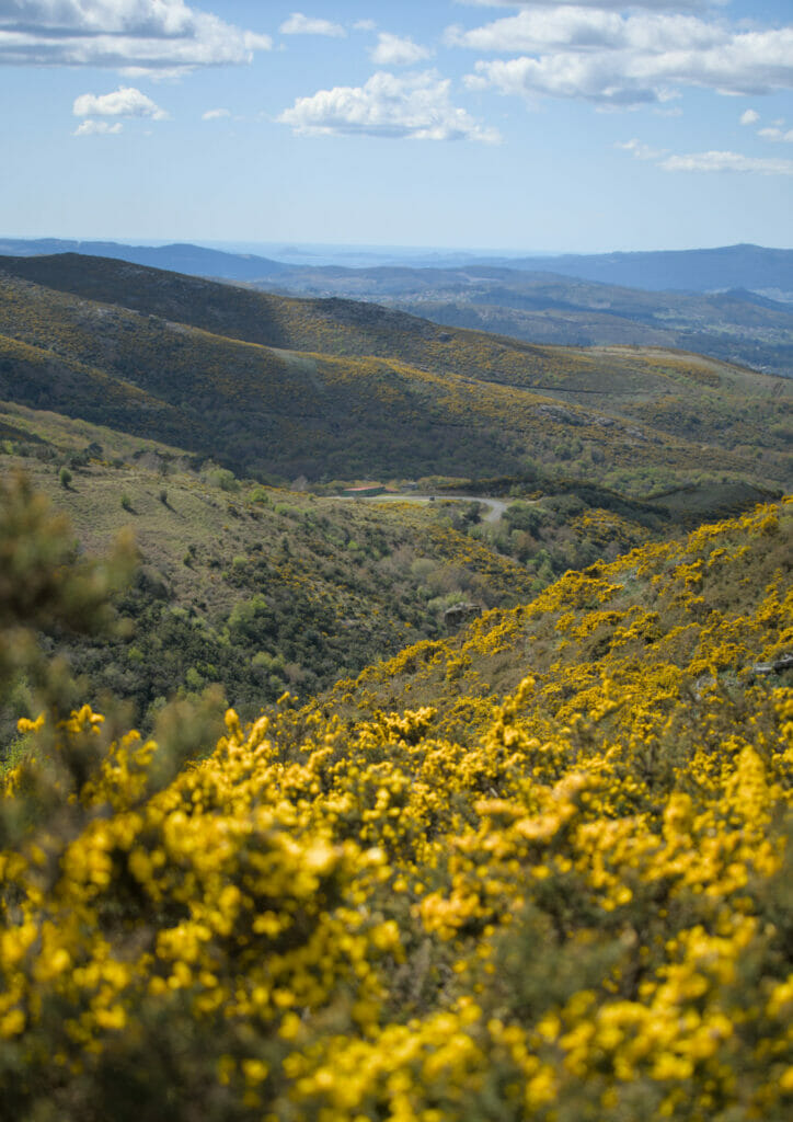 point de vue à laxe