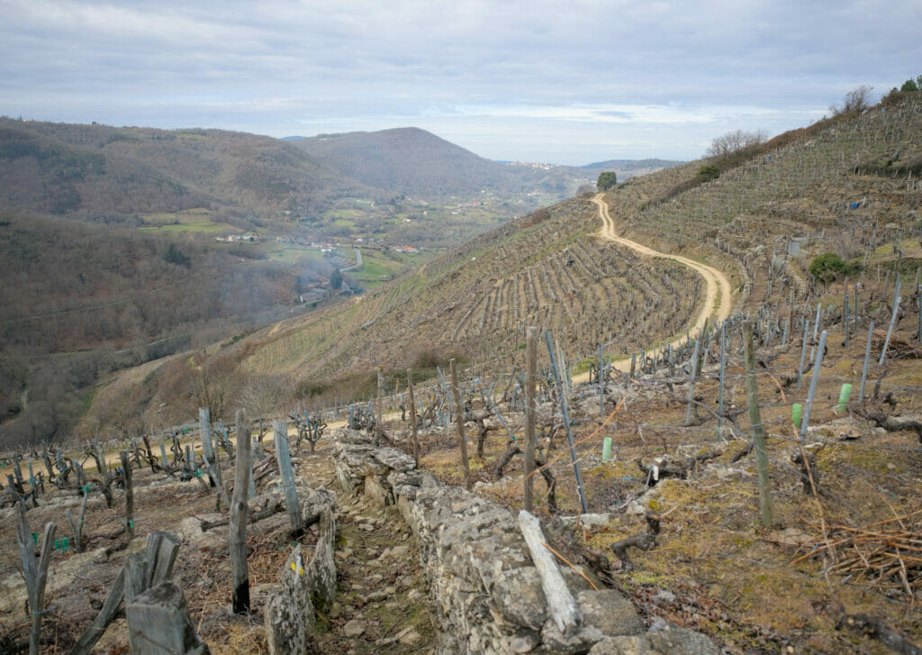 vignes ribeira sacra