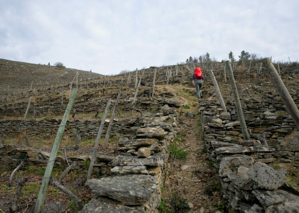 viticulture héroique