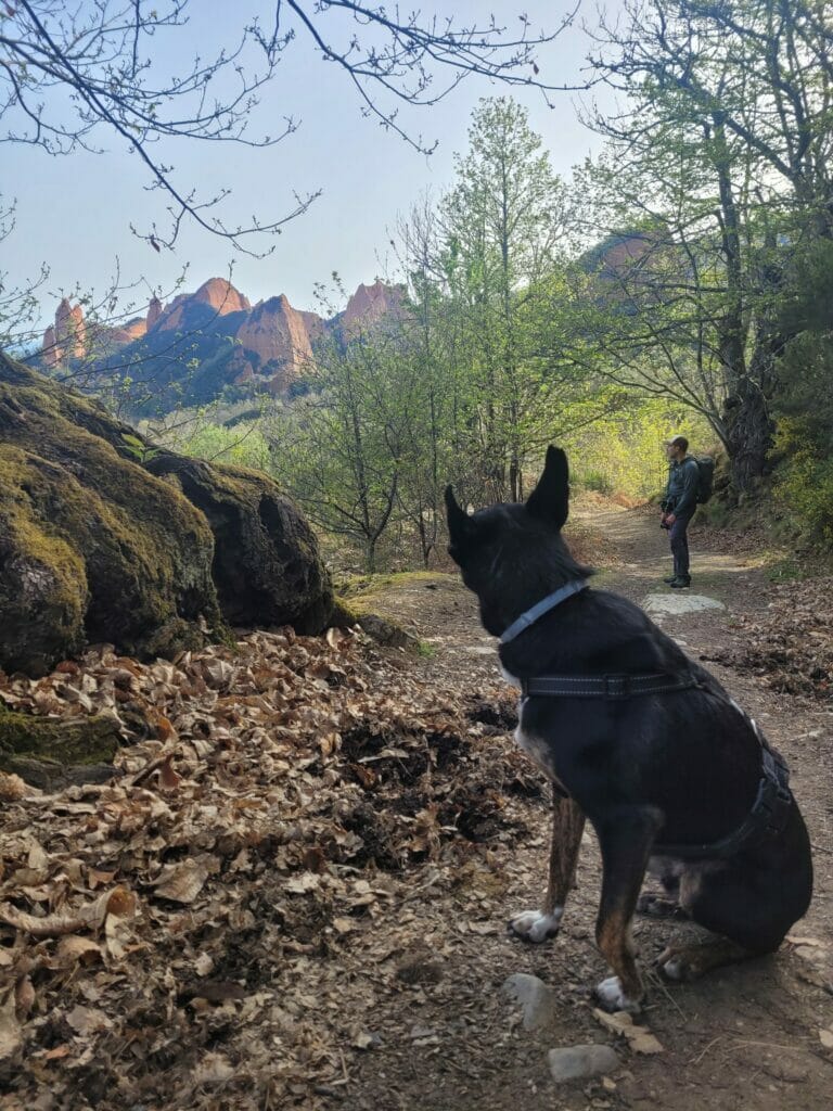 montée chemin des chênes