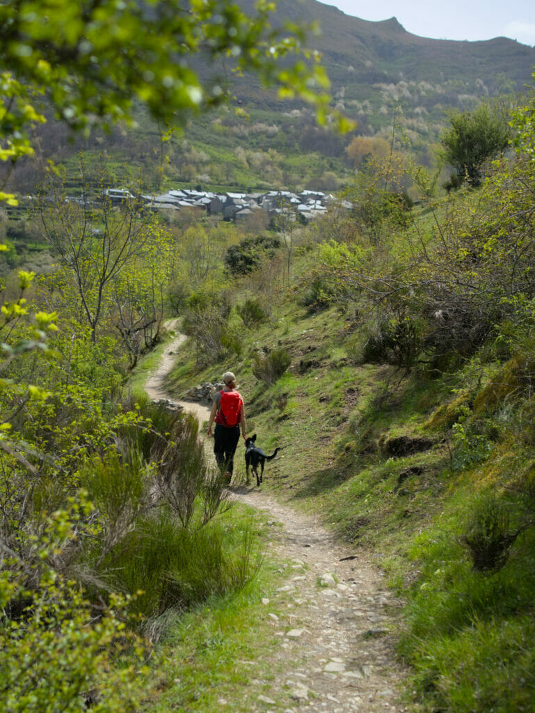 retour Peñalba