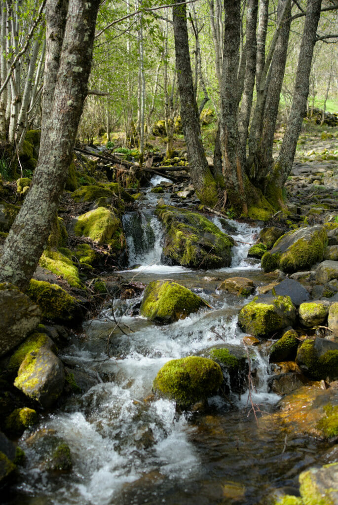 arroyo del silencio