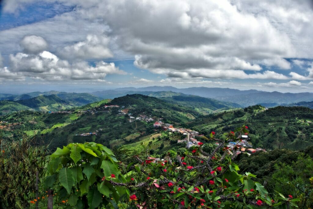 La vue panoramique depuis Mae Salong