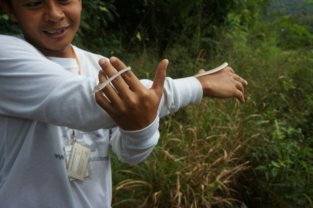Our guide holding a snake in Khao Yai