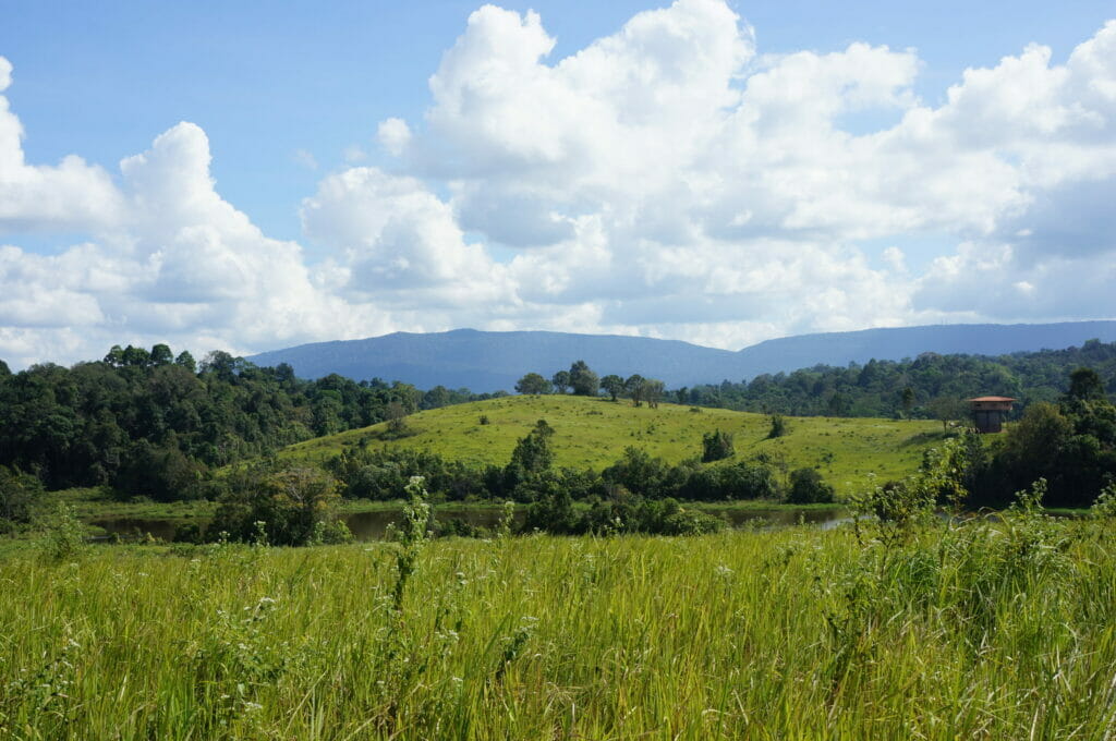 Trek dans Khao Yai