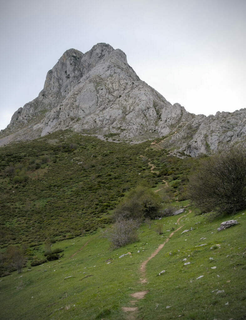 le chemin qui monte au col de la Pedrera