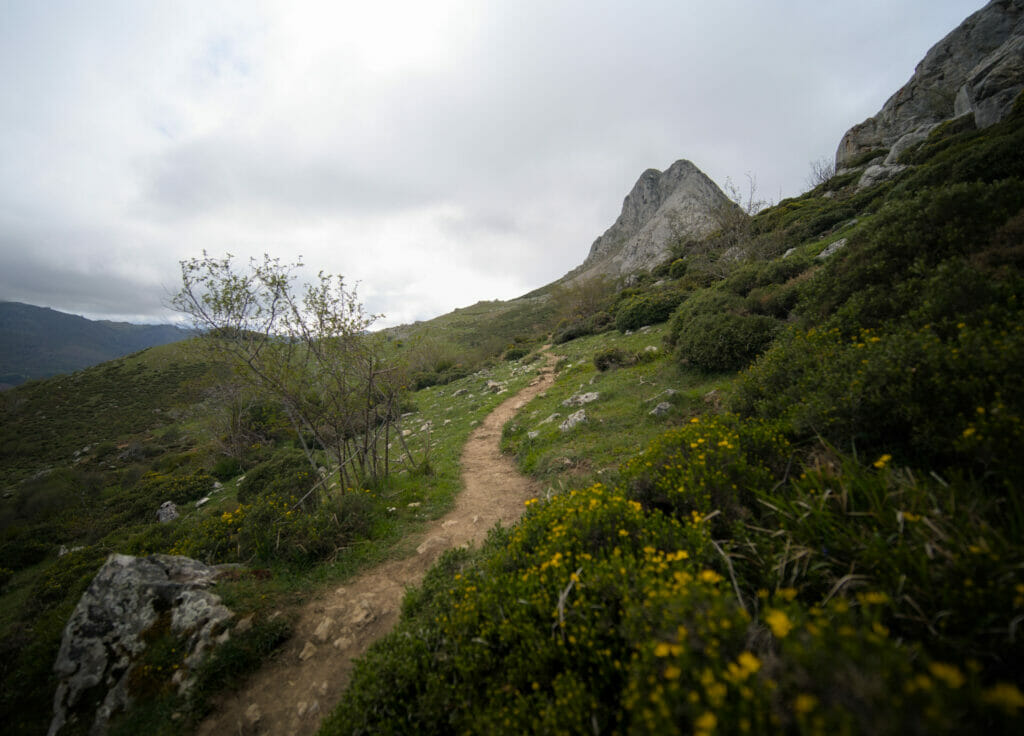 le sentier qui monte au Pico Gilbo