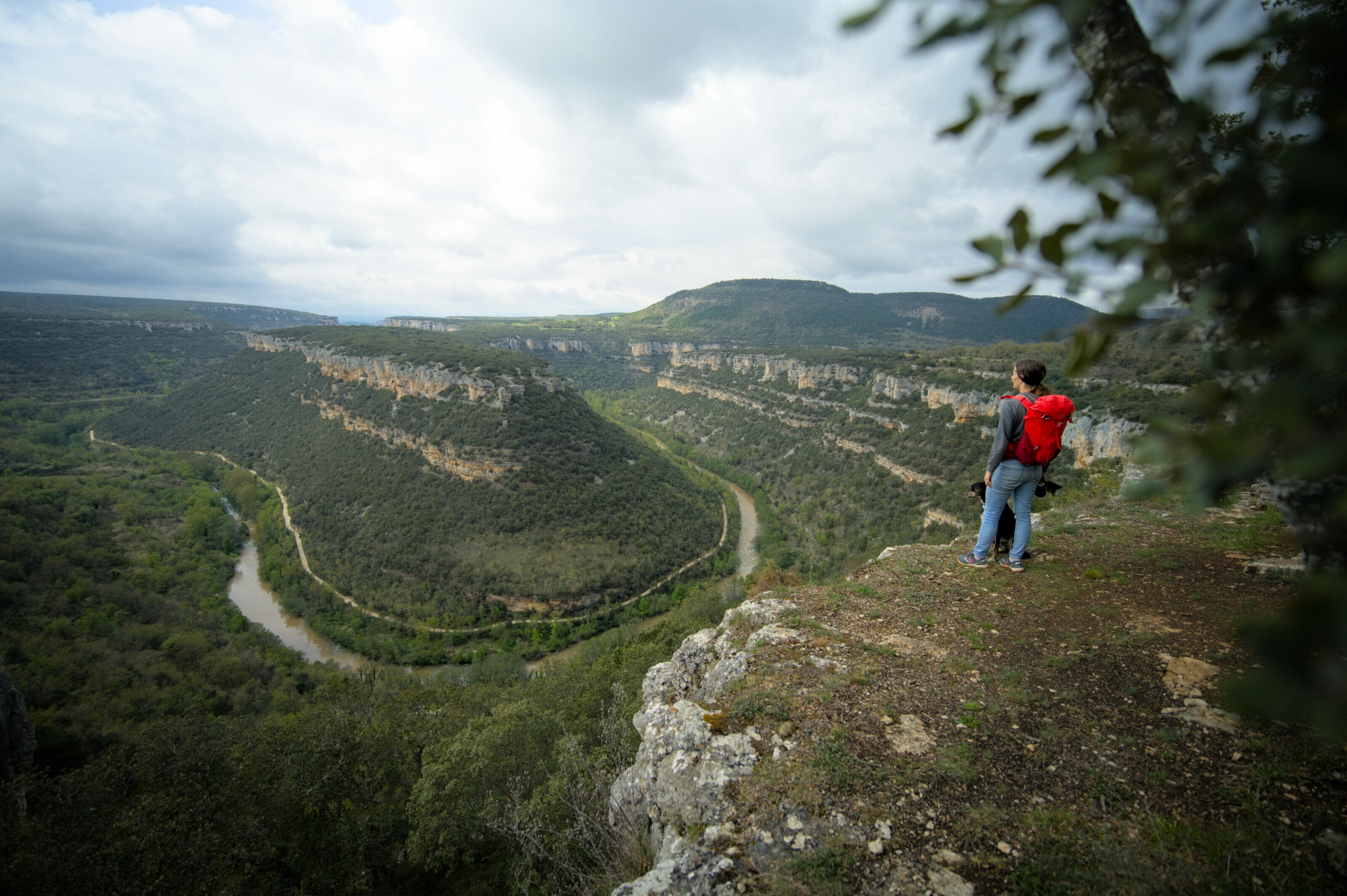 mirador valdelateja